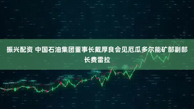 振兴配资 中国石油集团董事长戴厚良会见厄瓜多尔能矿部副部长费雷拉