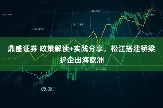 鼎盛证券 政策解读+实践分享，松江搭建桥梁护企出海欧洲