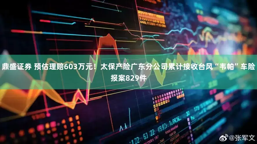 鼎盛证券 预估理赔603万元！太保产险广东分公司累计接收台风“韦帕”车险报案829件